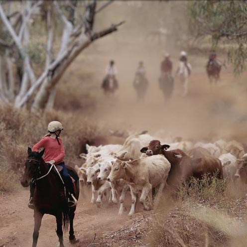 Rural Succession Planning | Crimson Walker Finance